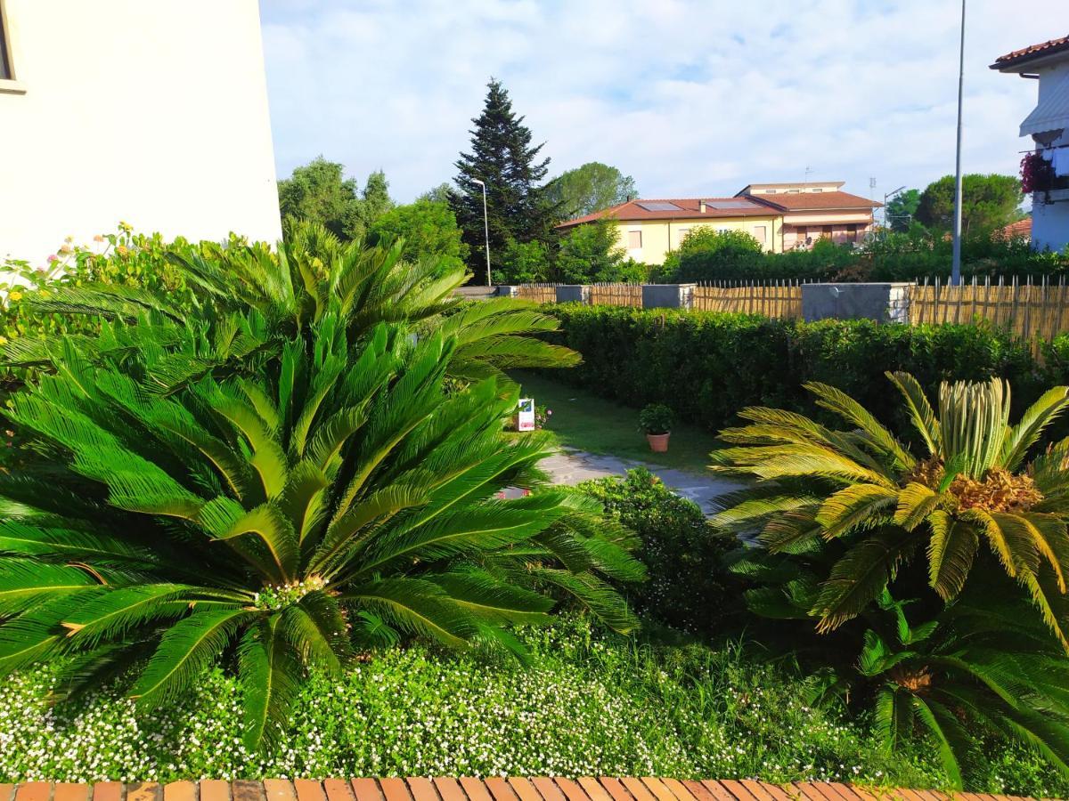 B&B Tra Mare E Marmo Marina Di Carrara Exterior photo