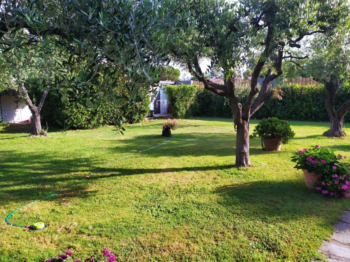 B&B Tra Mare E Marmo Marina Di Carrara Exterior photo